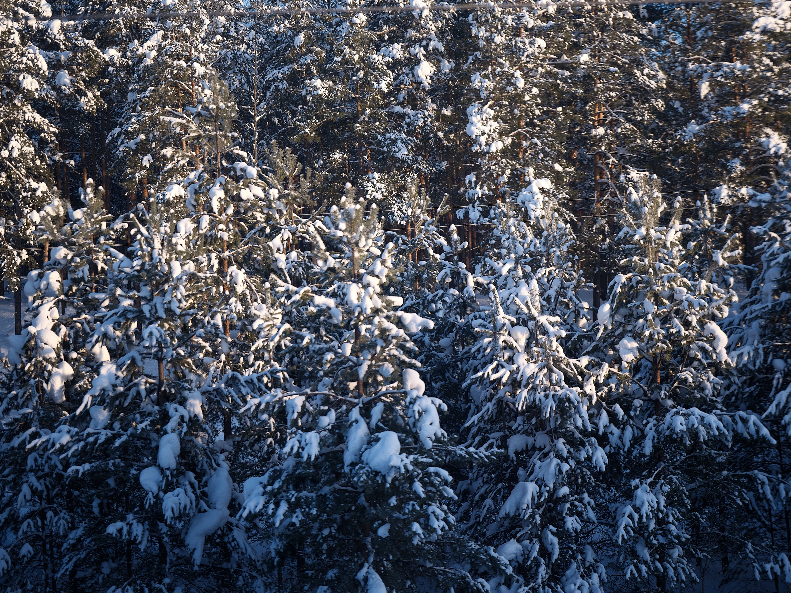 From the Train Window