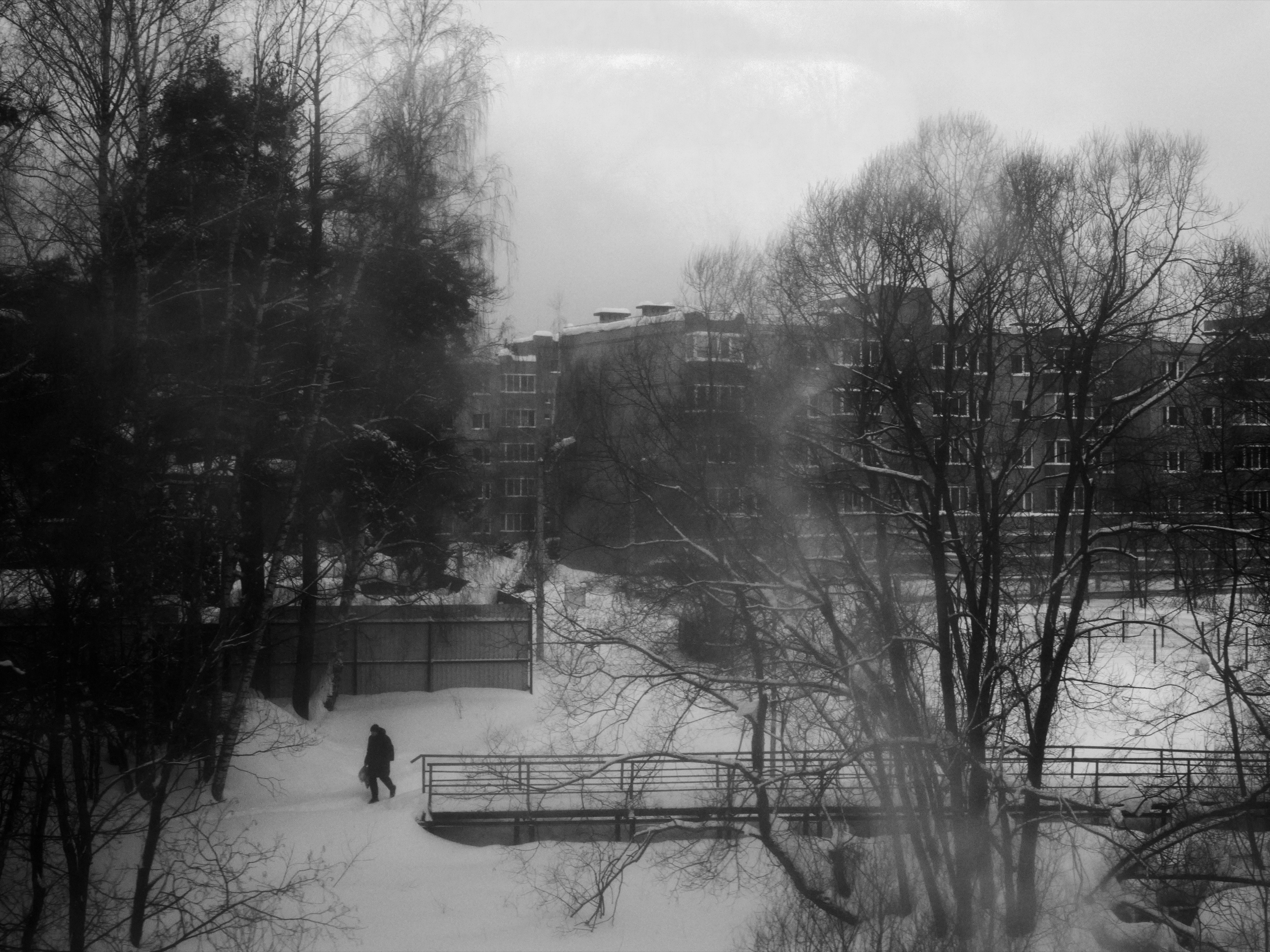 From the Train Window