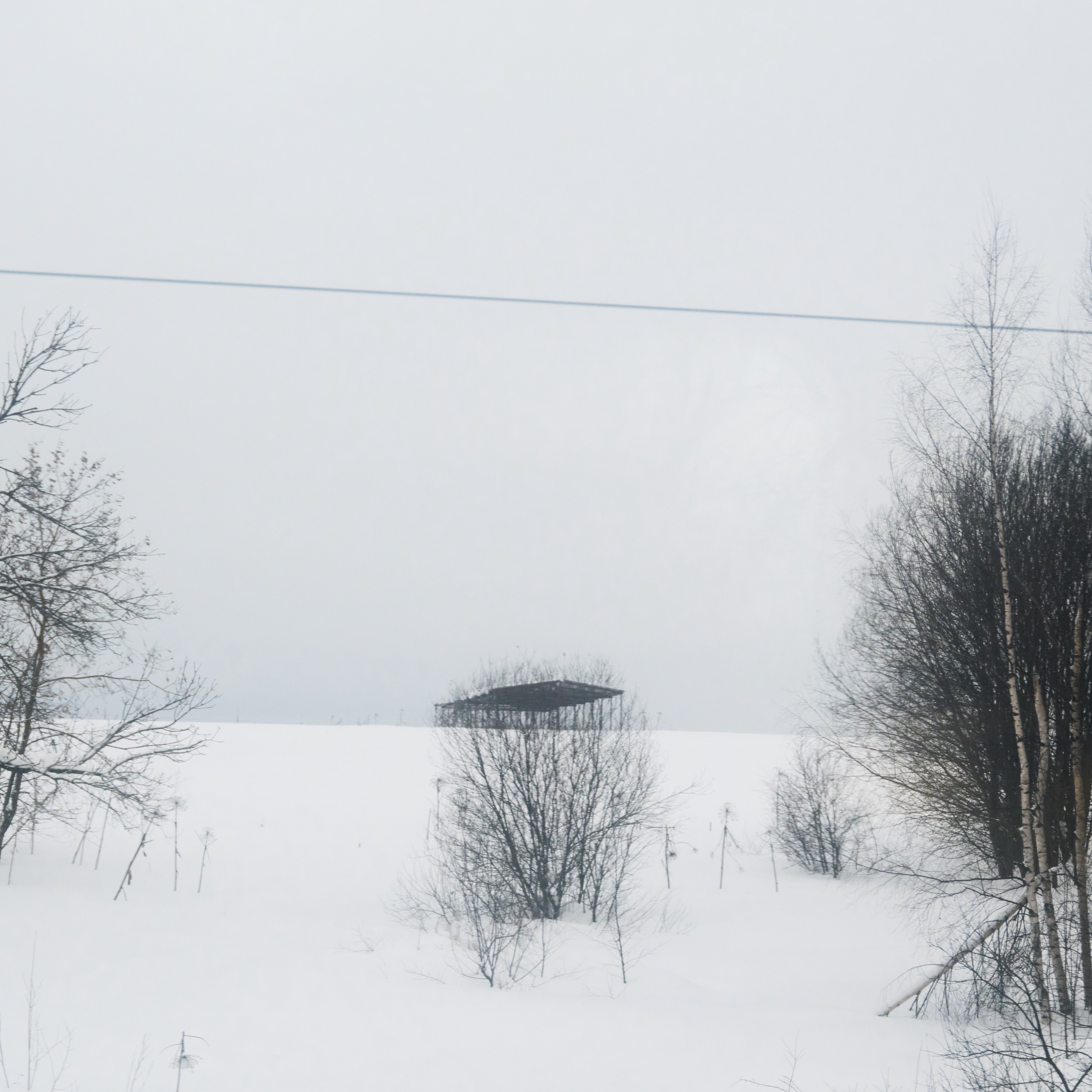 From the Train Window