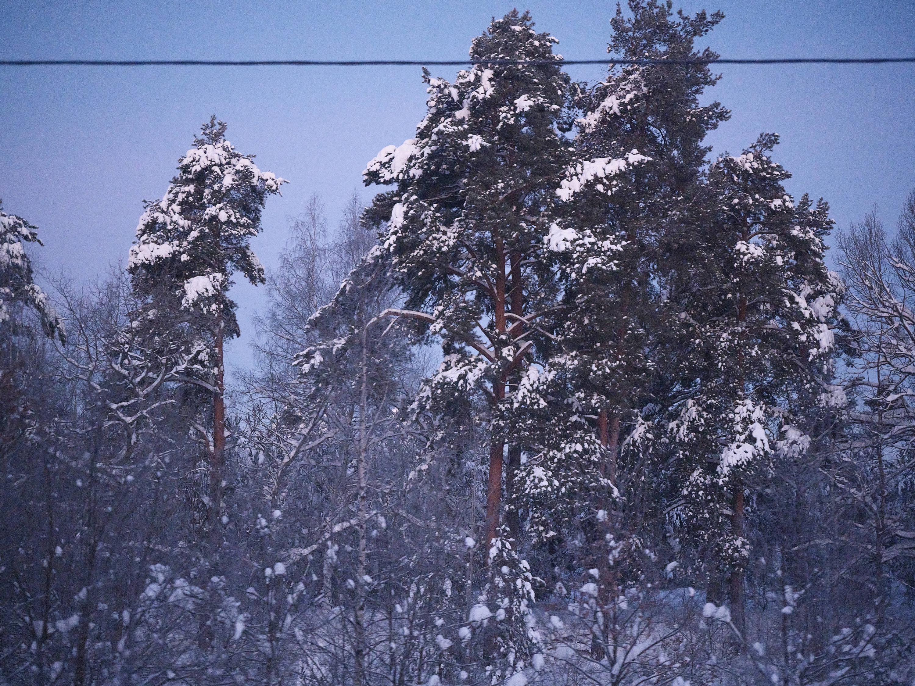 From the Train Window