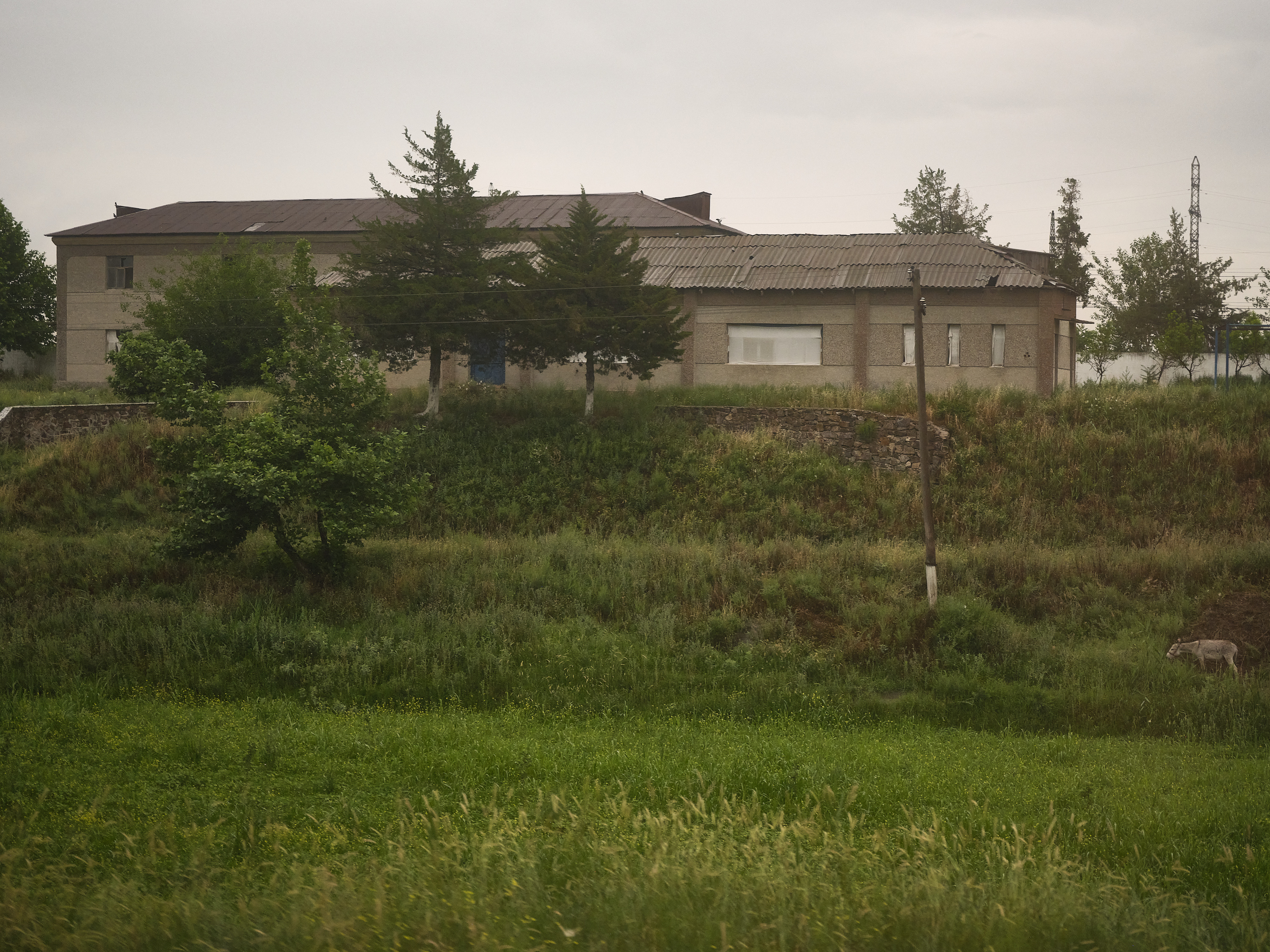 From the Train Window