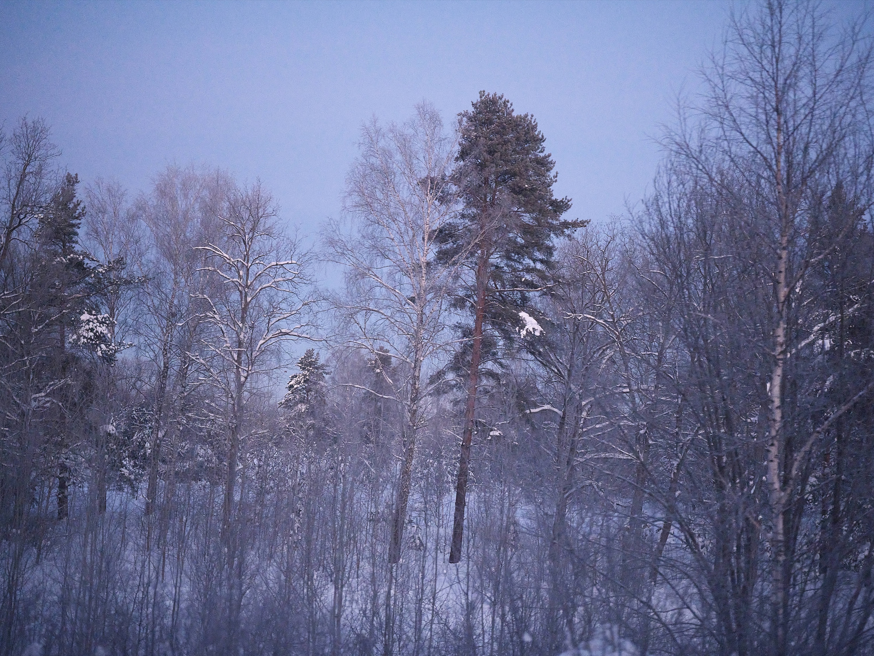 From the Train Window