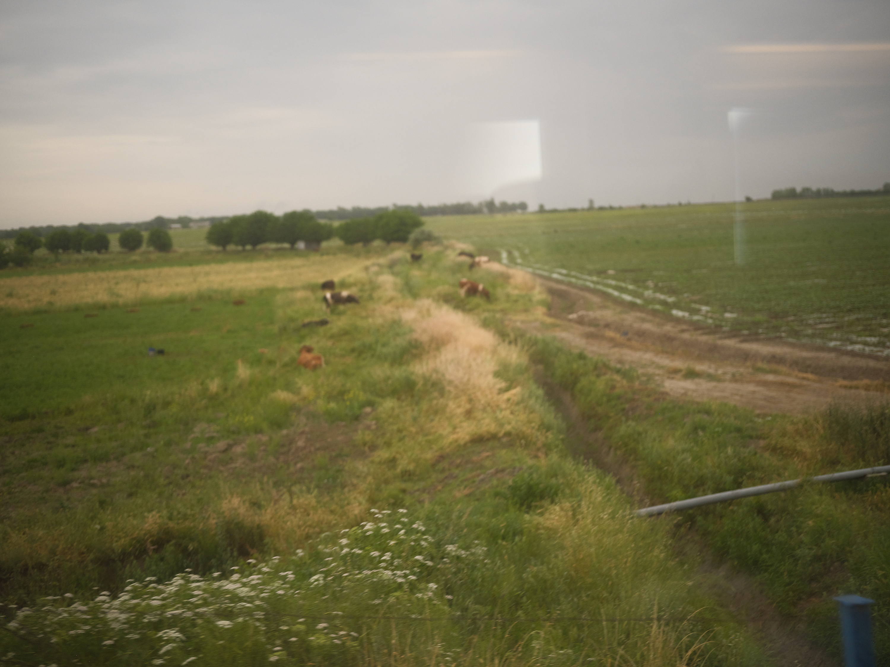 From the Train Window