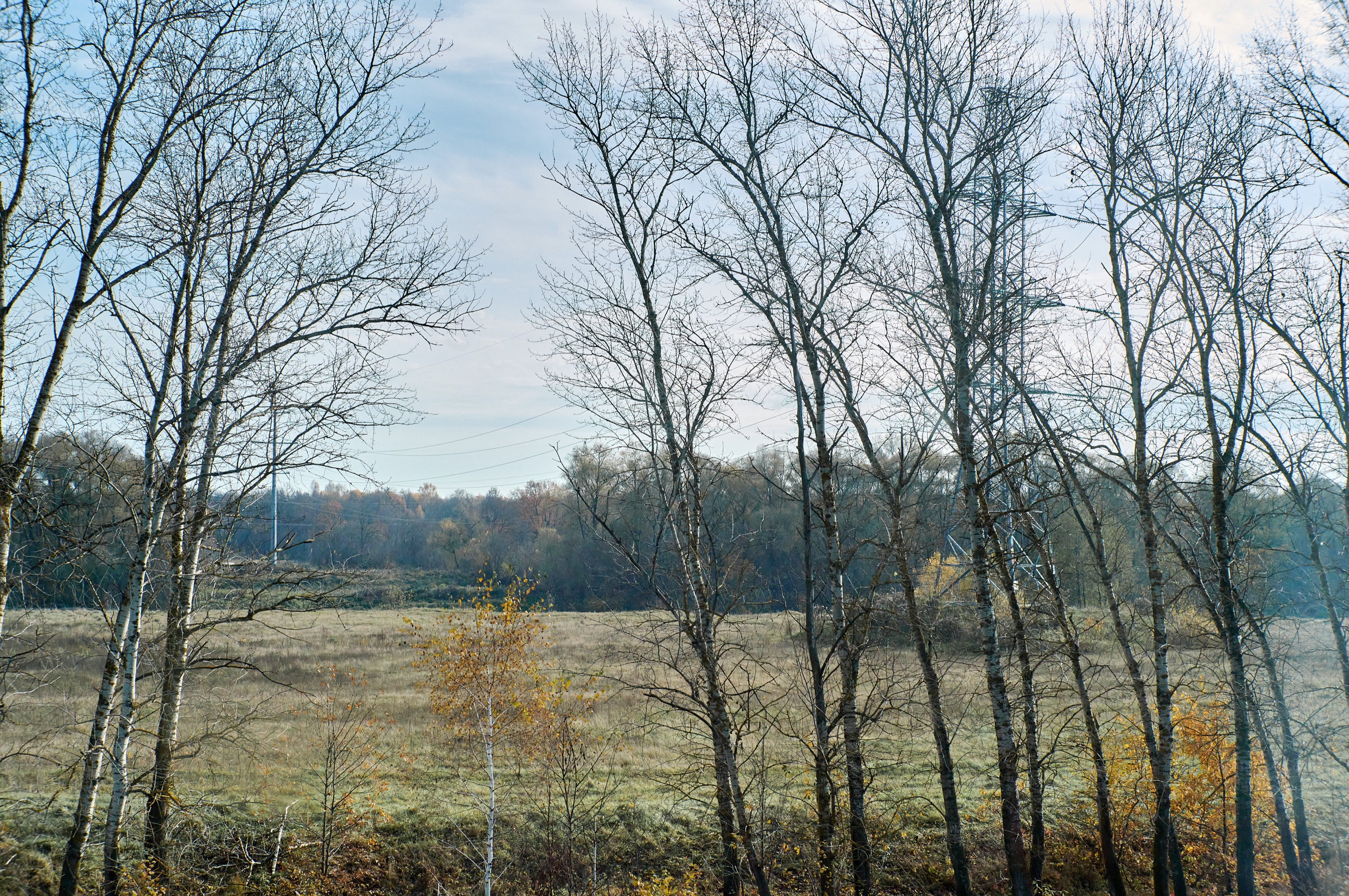 From the Train Window