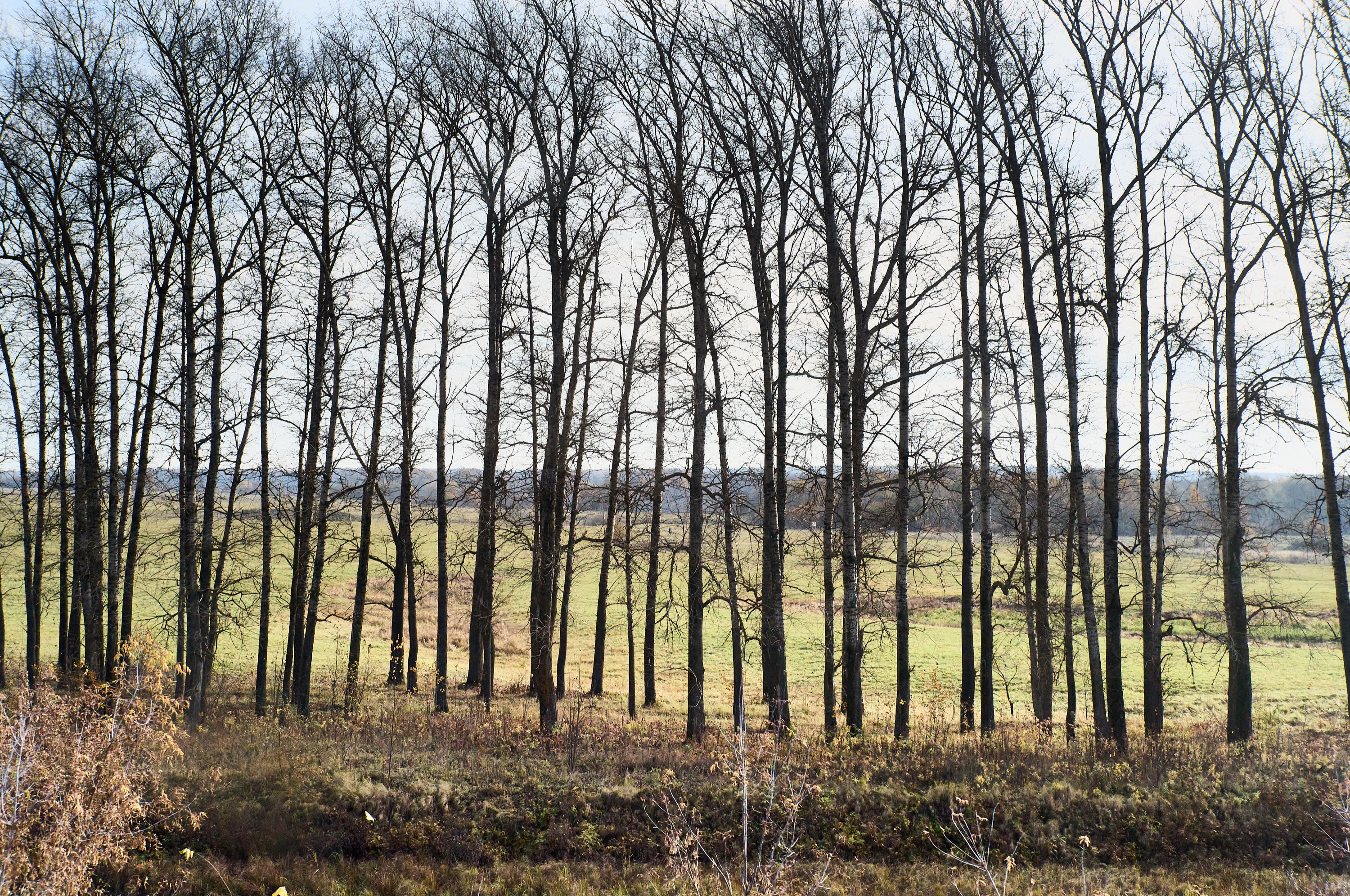 From the Train Window